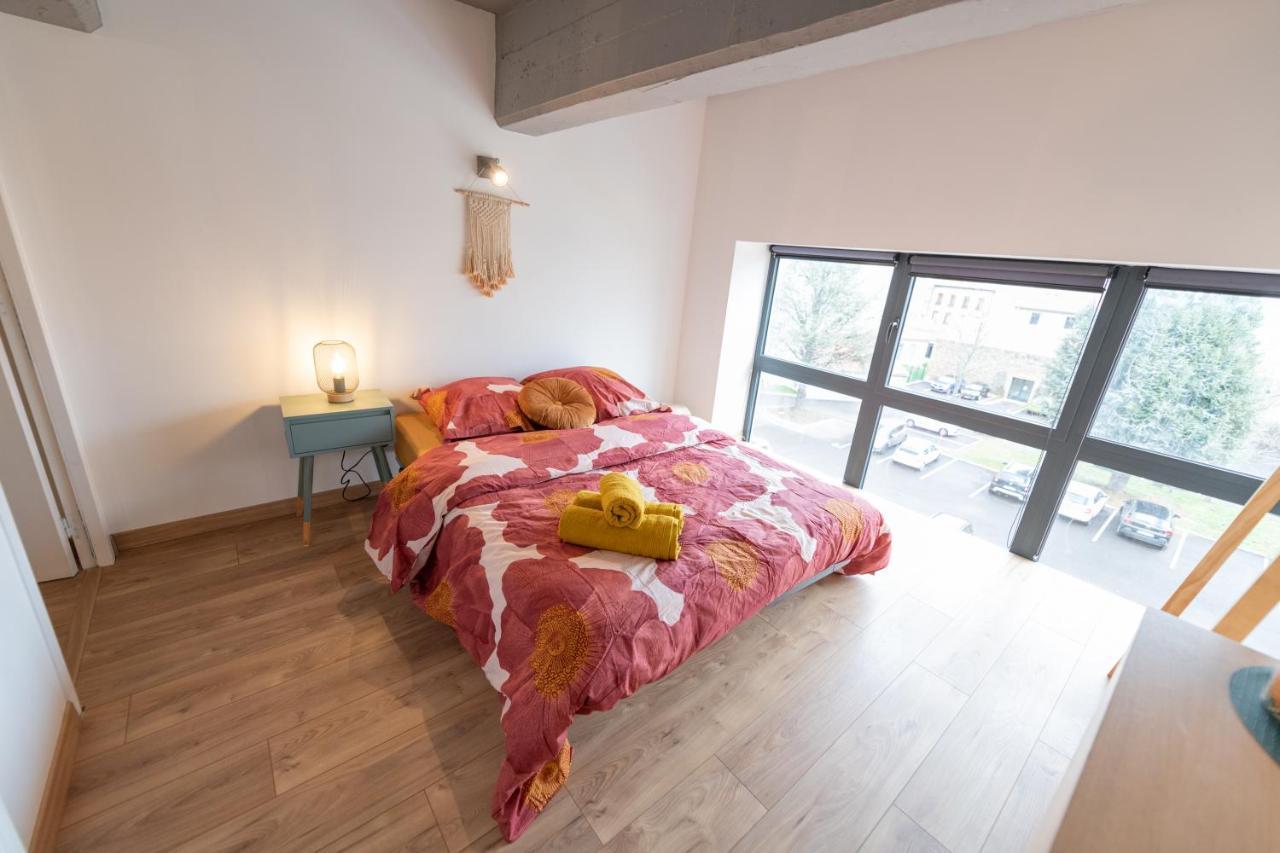 Welcome Loft Apartment Saint-Etienne (Loire)